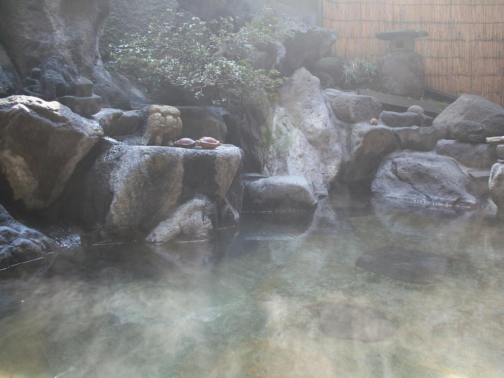 Sumiyosiya Ryokan Nozawaonsen Esterno foto
